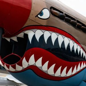 Profile photo of Corey